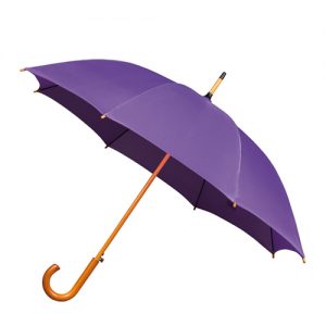 Buy Violet Umbrella at M Baazar